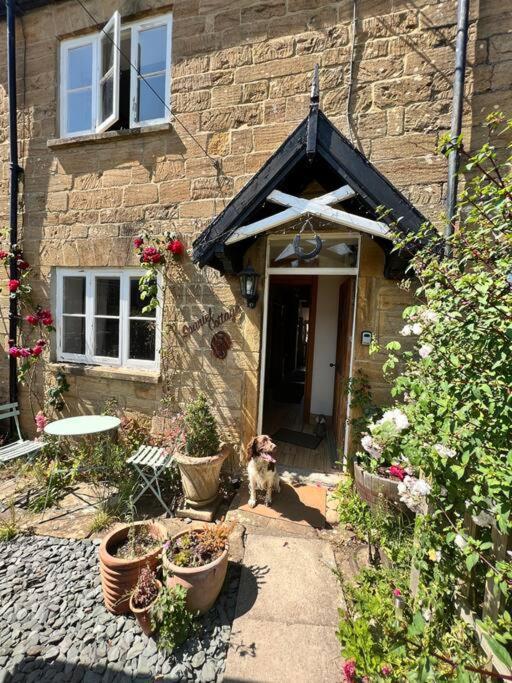 Spaniel Cottage With Views Of Ham Hill, Stoke Sub Hamdon 马托克 外观 照片