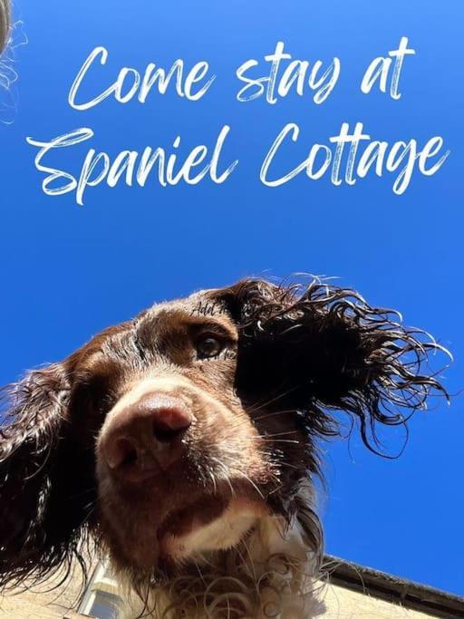 Spaniel Cottage With Views Of Ham Hill, Stoke Sub Hamdon 马托克 外观 照片