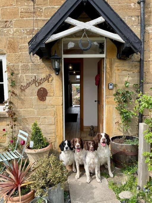 Spaniel Cottage With Views Of Ham Hill, Stoke Sub Hamdon 马托克 外观 照片